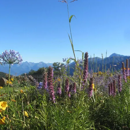 Il Balcone Sul 公寓
