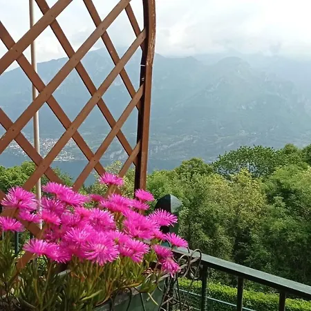 Il Balcone Sul 公寓 Magreglio