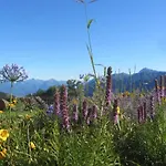 Il Balcone Sul Апартаменты